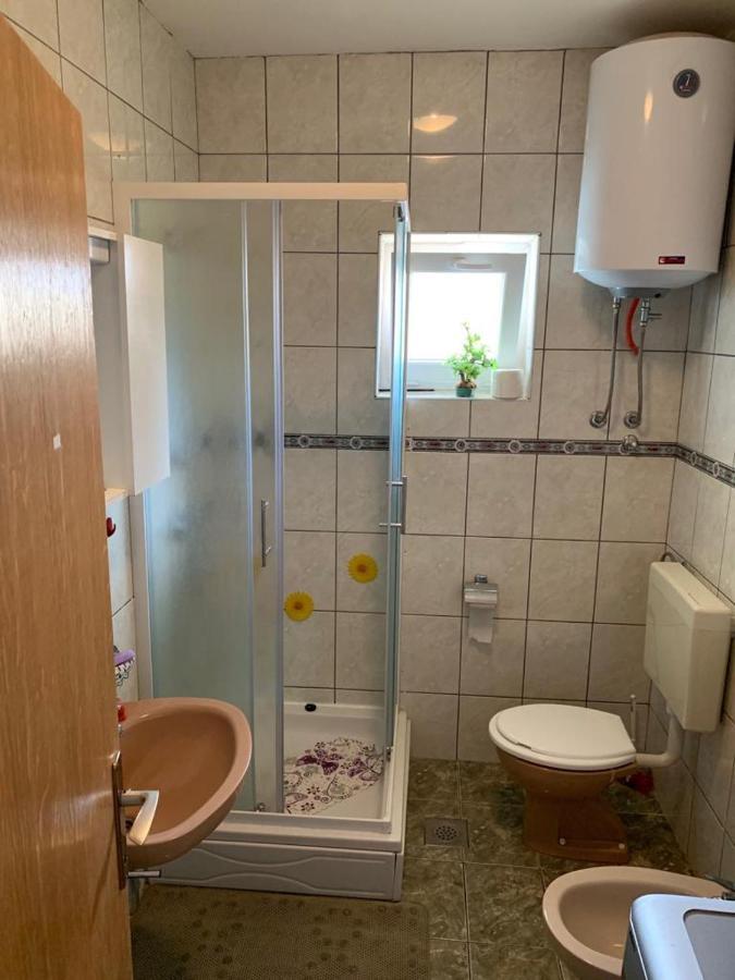 Apartment Ana ロゴズニッツァ エクステリア 写真