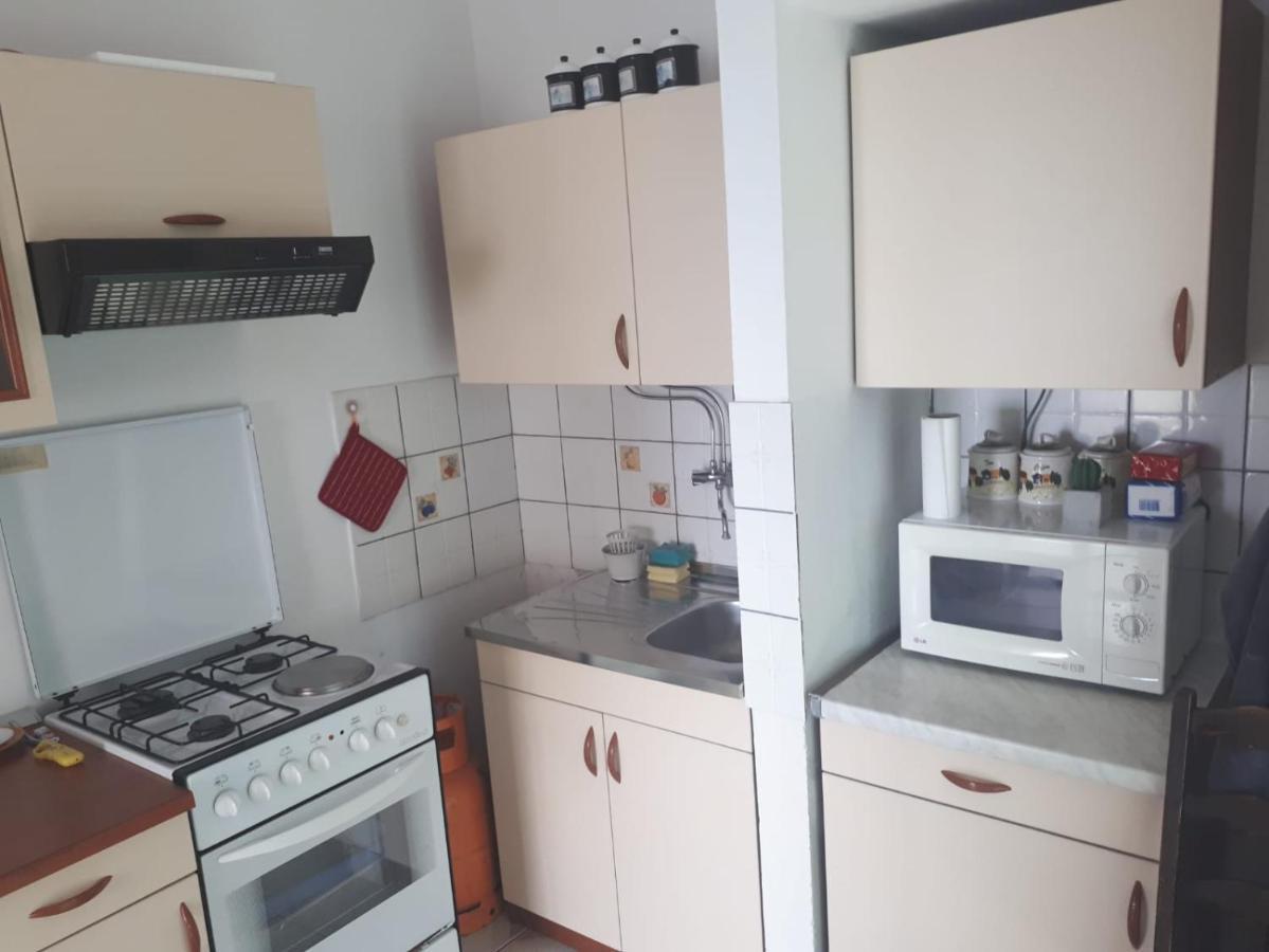 Apartment Ana ロゴズニッツァ エクステリア 写真